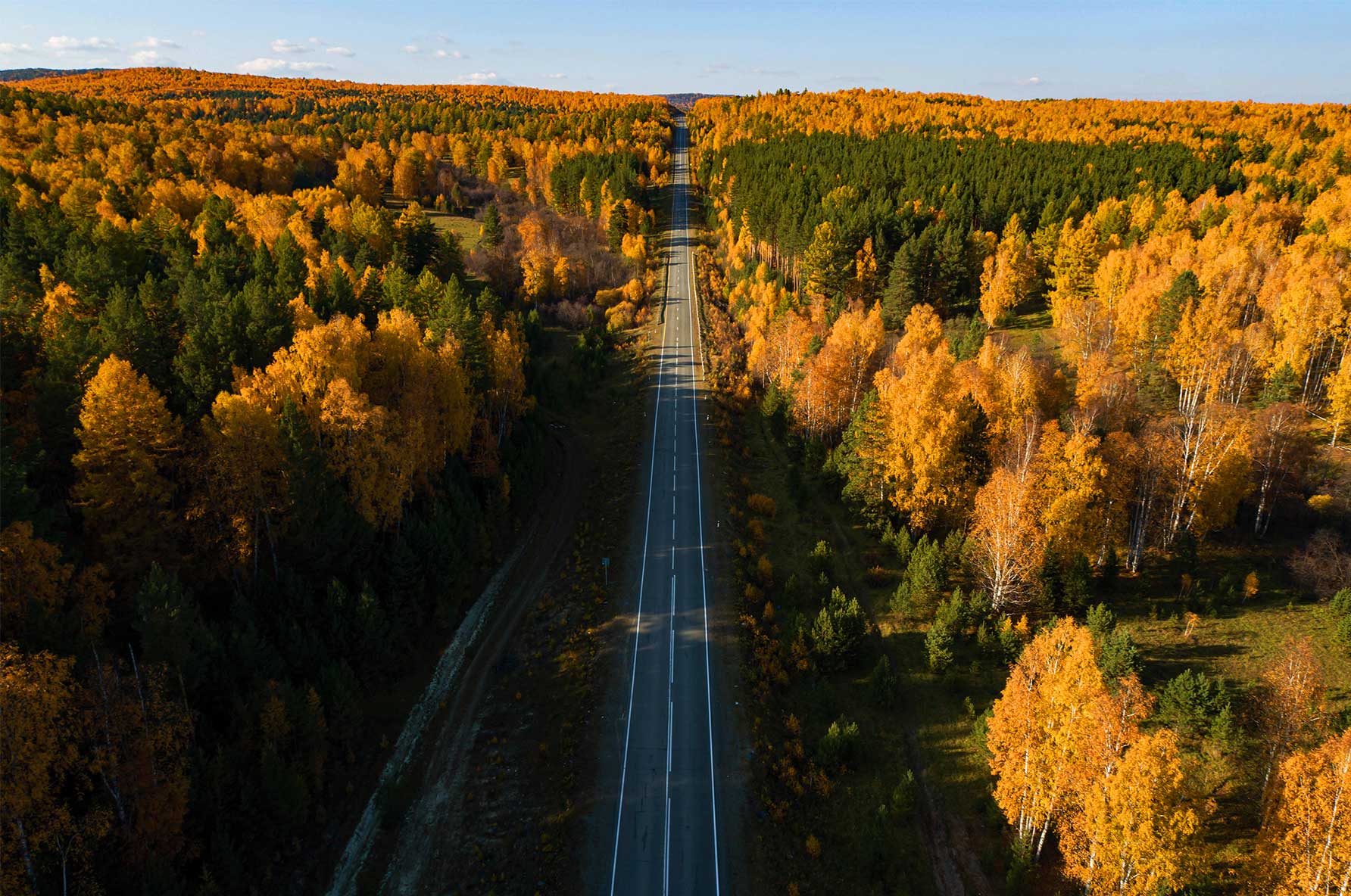 Endless Path-CP115.jpg